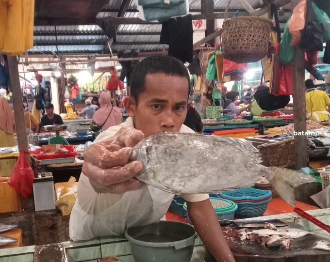 Imlek, Ikan Dingkis mulai Diburu Warga Tionghoa