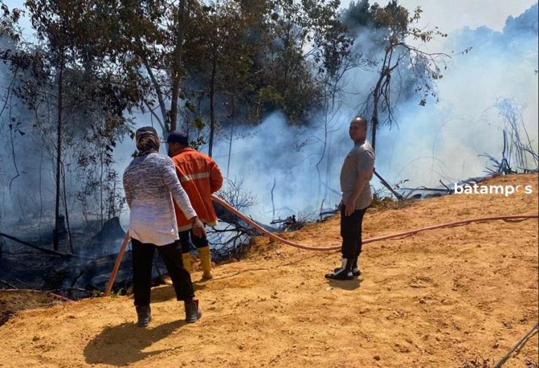 Kebakaran di Hutan Kawasan Bandara Hang Nadim