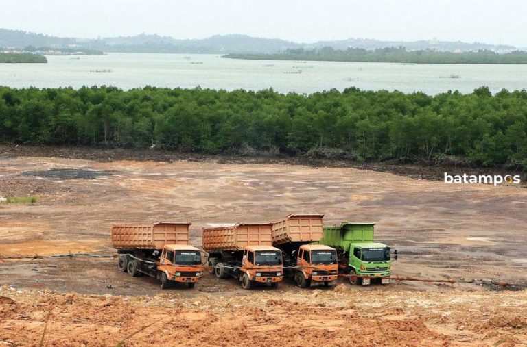 Mangrove dalam APL Wajib Bayar PNBP