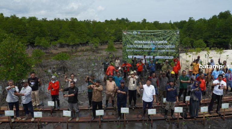 KLHK bersama BGRM Tanam 1.000 Bibit Mangrove di Pantai Setokok Bulang