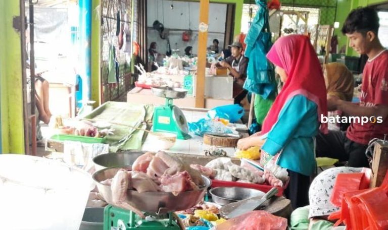 Harga Ayam Potong di Kijang dan Tanjunguban Naik Jadi Rp 45 Ribu Per Kilogram