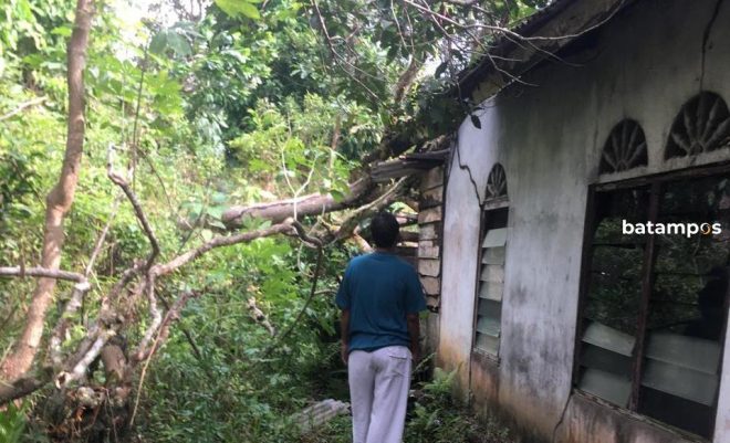 Satu Rumah Warga di Desa Air Glubi, Bintan Rusak Tertimpa Pohon Tumbang