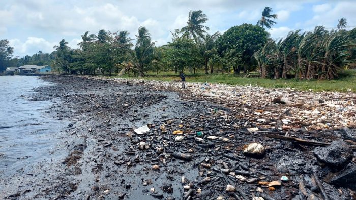 Limbah Minyak Hitam Cemari Pesisir Sebong Pereh, Bintan