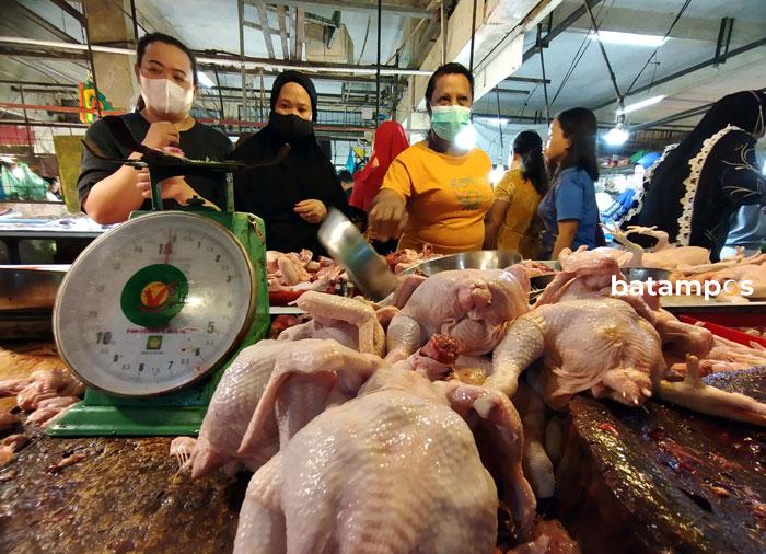 Harga Ayam Potong Masih Tinggi di Batam