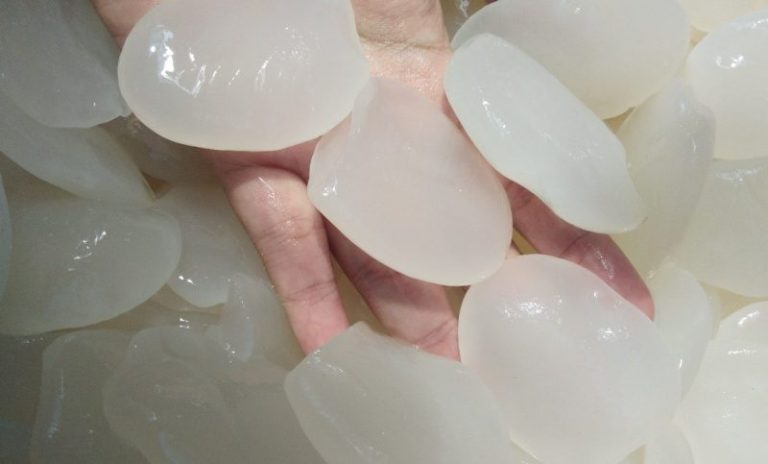 Kolang-Kaling Jadi Buruan Menu Berbuka Puasa