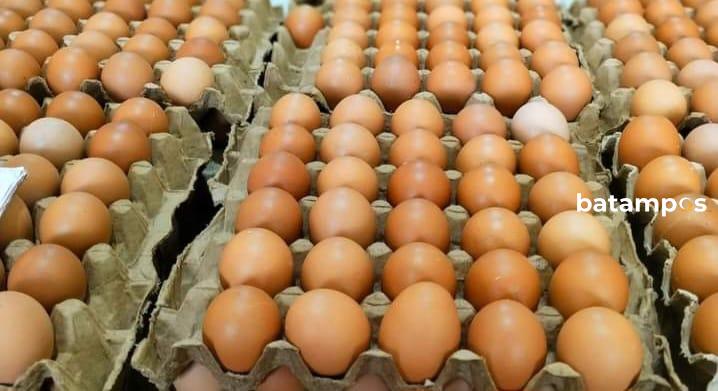 Awal Ramadan, Harga Telur Ayam Sawang Tembus Rp62 Ribu Perpapan