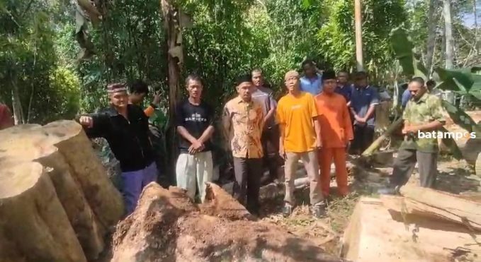 Warga Geram Pohon Gaharu di Area Situs Cagar Budaya Makam Datok Bujuk di Desa Bintan Buyu Ditebang