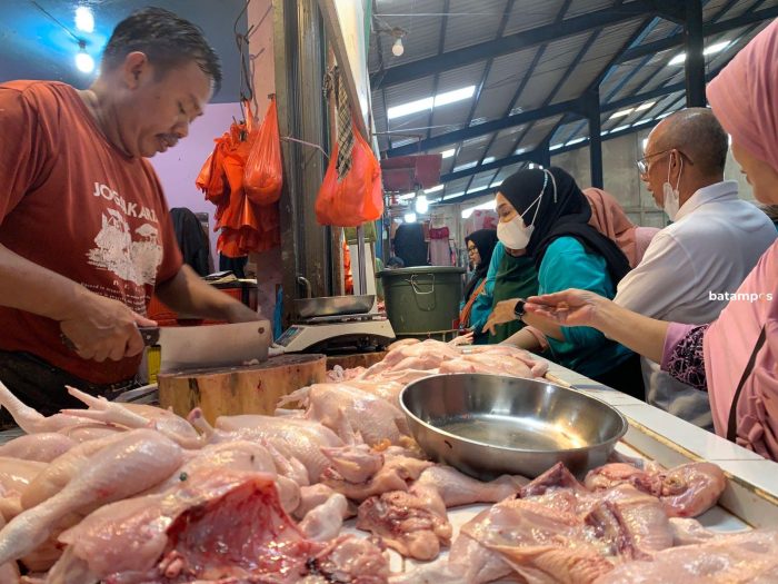 Harga Ayam Potong Tembus Rp 45 Ribu Sekilo