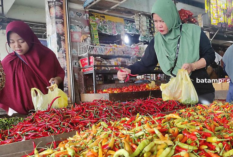 Harga Cabai di Batam Kembali Tembus Rp 100 Ribu Per Kg