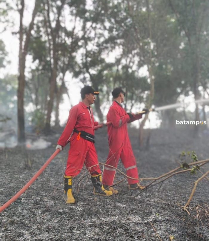 Sehari, Lahan di Empat Lokasi Berbeda Terbakar