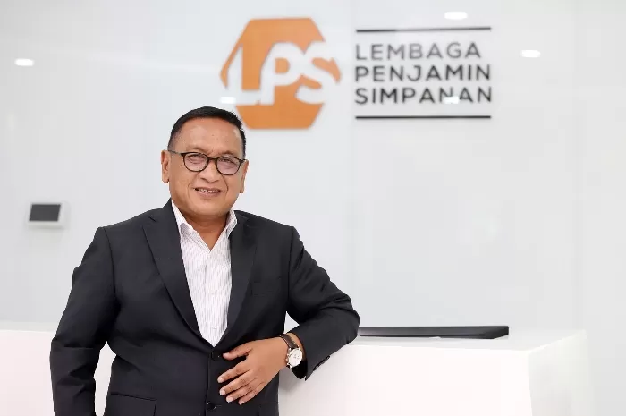 Banyak Bank Bangkrut pada Awal 2024, LPS Jelaskan Penyebabnya