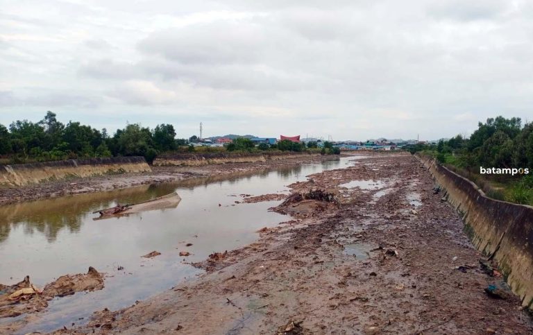 Seilangkai Habitat Alami Buaya Muara