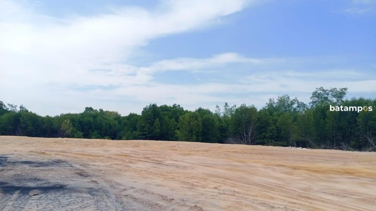 Hutan Mangrove Tiban Mentaro Terancam Punah Karena Proyek Reklamasi