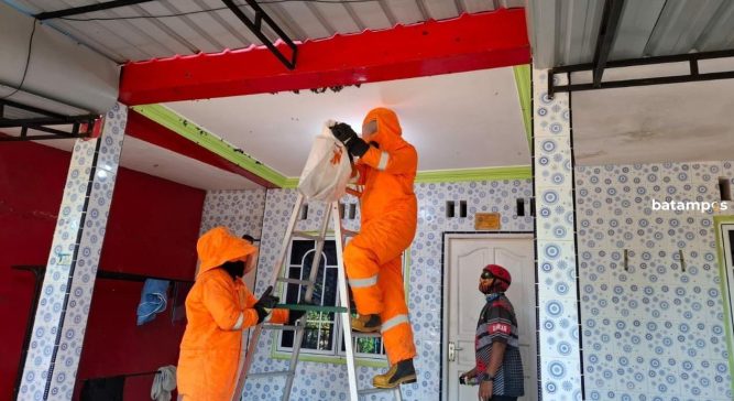 Warga Perumahan Lobam Mas Asri “Diteror” Lebah Madu