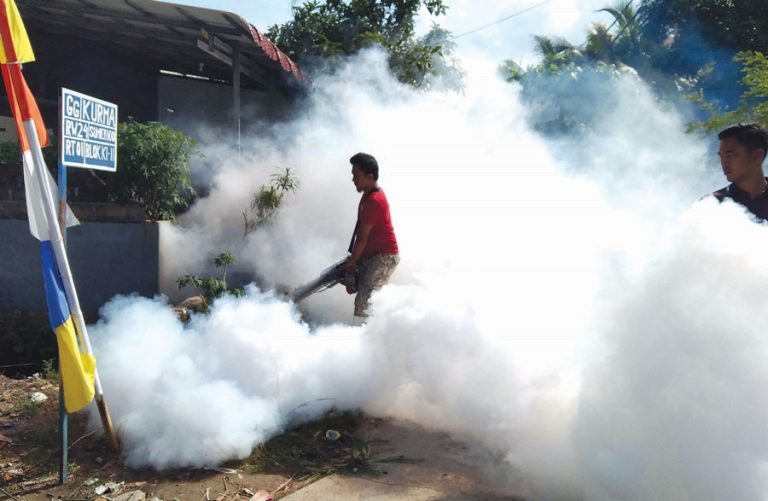 Waspada, DBD Belum Masuk Masa Puncak