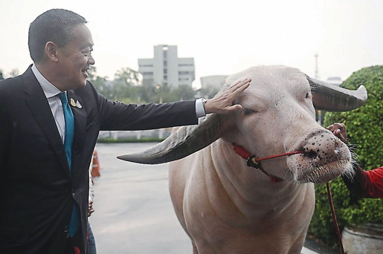 Laos Wabah Antraks, Thailand Waspada