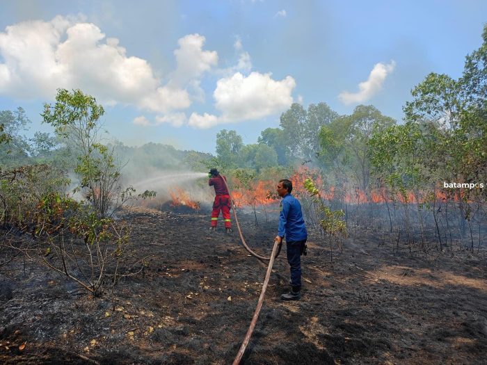 Maret 2024, Terjadi 48 Kasus Kebakaran Lahan di Karimun