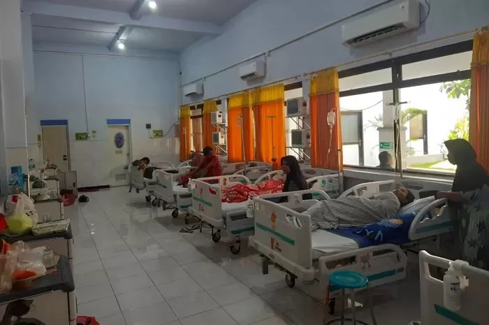 Meningkat, 76.132 Kasus DBD di Indonesia Sebabkan 540 jiwa Meninggal