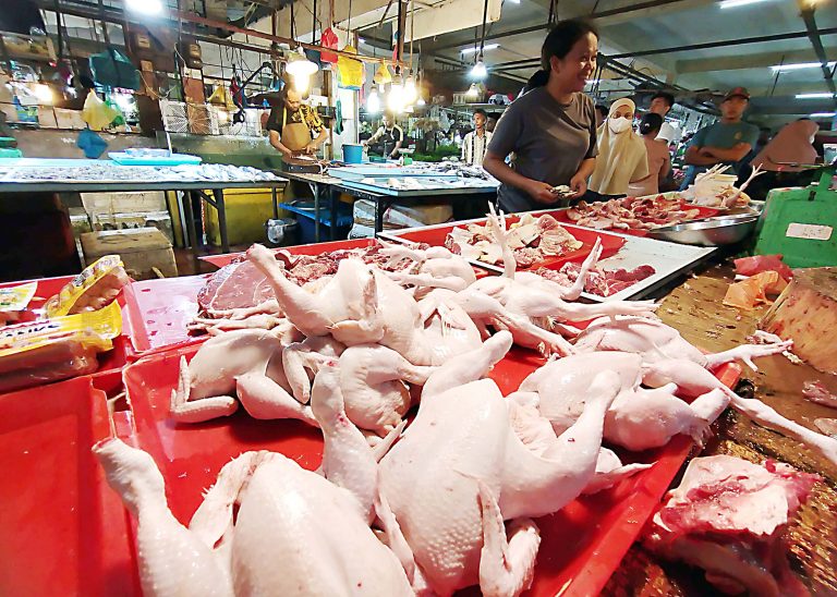 Harga Daging Ayam Potong Segar Rp 42 Ribu
