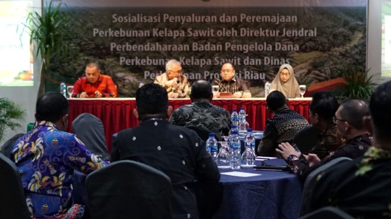 BRK Syariah Buka Peluang Besar untuk Petani Mendapatkan Dana Peremajaan Sawit