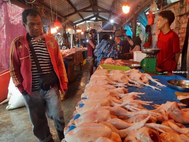 Bintan Juga Pasok Ayam Potong ke Tanjungpinang