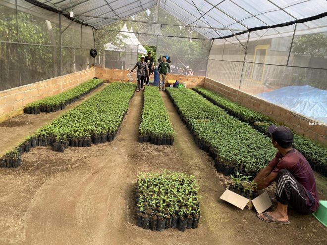 28.000 Bibit Cabai Dibagikan ke Warga Tanjungpinang