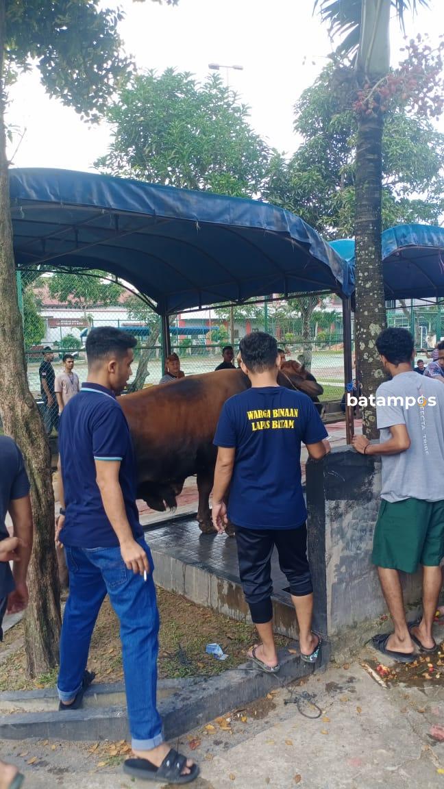 Lapas dan Rutan Batam Sembelih 13 Ekor Kambing dan Lima Ekor Sapi