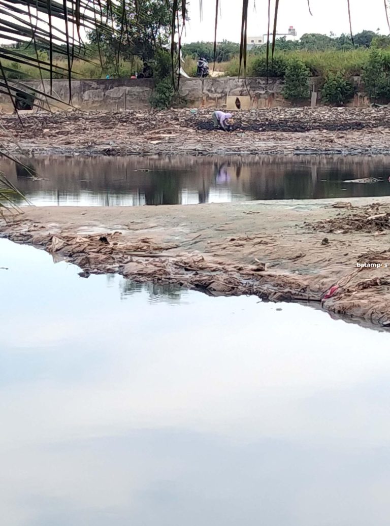 Buaya Sering Muncul, BKSDA Minta Warga Hindari Lokasi Sungai Langkai