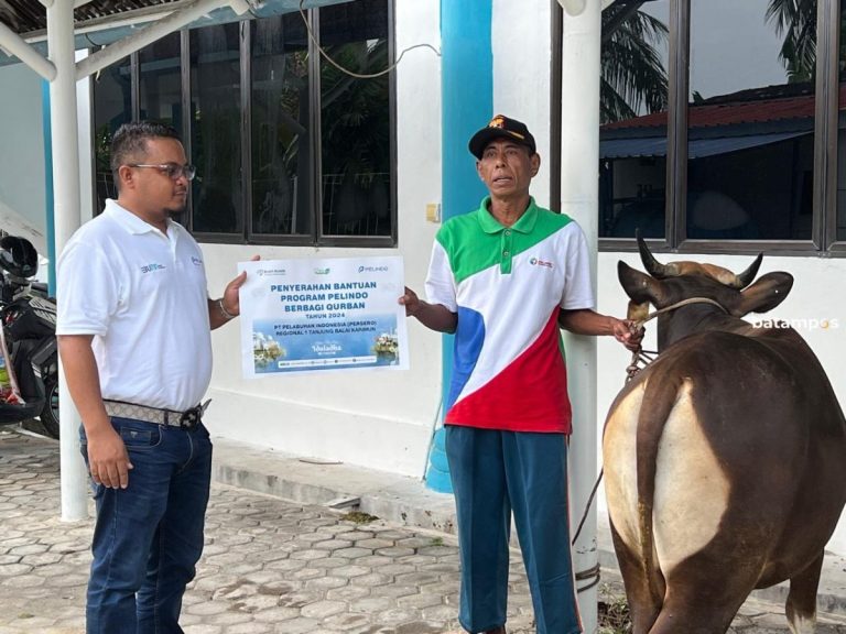 PT Pelindo Regional I Tanjung Balai Lakukan Penyembelihan Dua Ekor Hewan Kurban