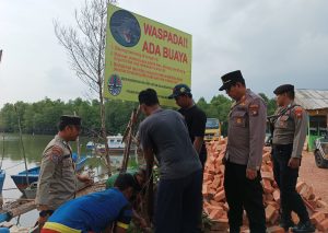 Lagi Nyari Udang, Warga Diterkam Buaya