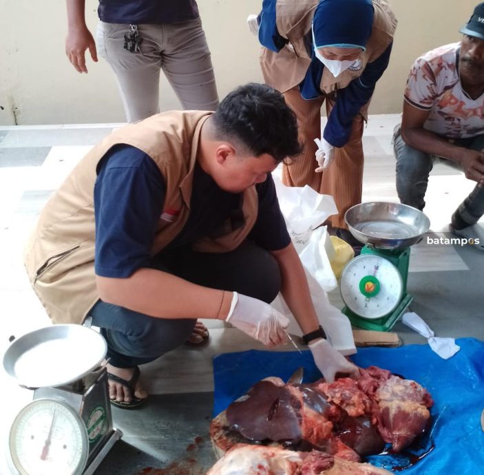 Dispangtan Karimun Catat 427 Sapi dan 464 Kambing Dipotong Hari Pertama Idul Adha