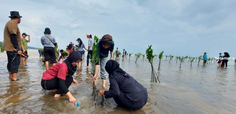 Mahasiswa hingga Karyawan Hotel Tanam 1.000 Bibit Mangrove di Pantai Pengudang, Bintan