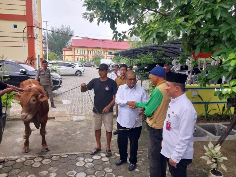 PUPR Karimun Kurban 7 Ekor Sapi, Sebar 600 Kupon