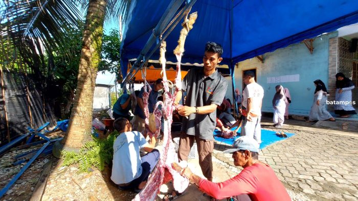 Empat Tim Diterjunkan di Binut dan SKL, Petugas Tak Temukan Penyakit Menular pada Hewan Kurban yang Disembelih