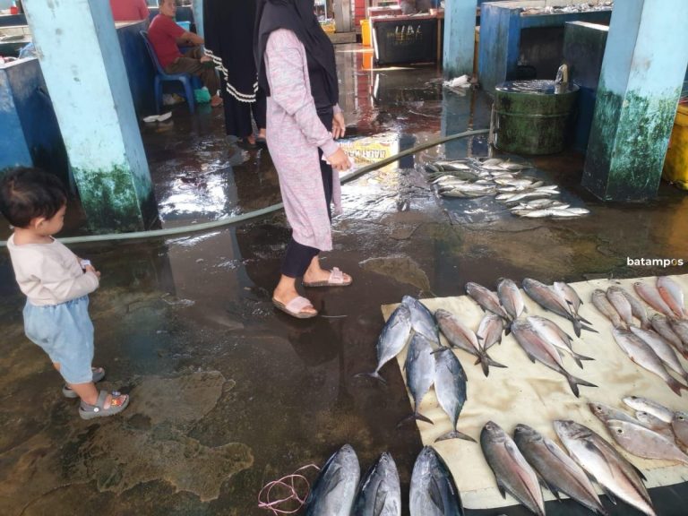Produksi Perikanan di Anambas Capai 26.957 Ton Per Tahun