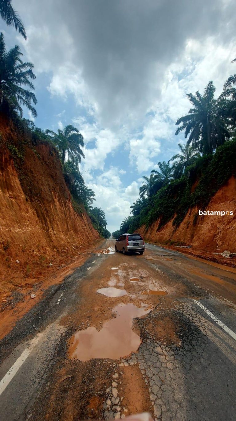 Kualitas Aspal di Jalan Lintas Timur Dipertanyakan Warga, Belum Setahun Dibuka Sudah Mengelupas dan Berlubang