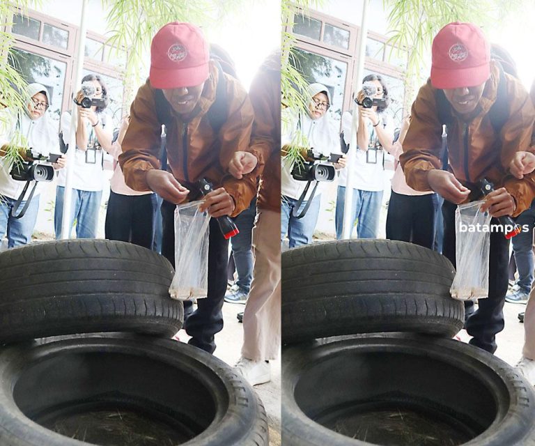 Batam Belum Perlu Nyamuk Wolbachia