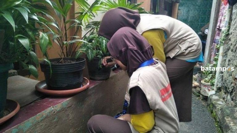 Basmi DBD, Jumantik Akan Diaktifkan Kembali
