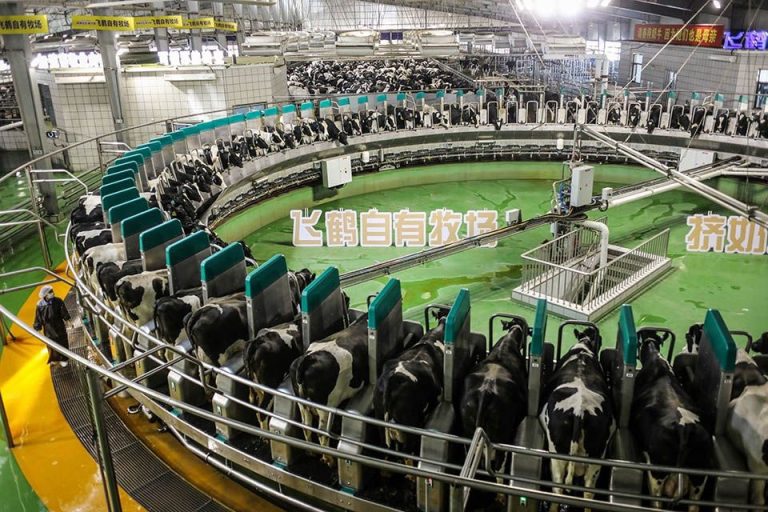 Upaya Tiongkok Menaikkan Tingkat Gizi Rakyatnya