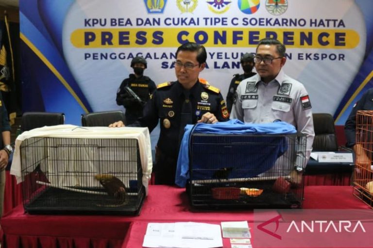 Selundupkan Satwal Langka, BC Soetta Tangkap Produser Film Bollywood