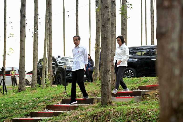 Jurus Baru Presiden Jokowi Percepat Pembangunan IKN
