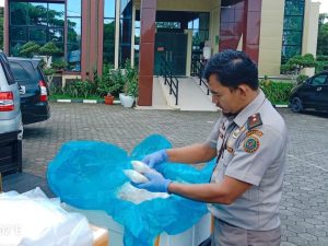 Rajungan Tanjungpinang Tembus Pasar Domestik dan Ekspor, Nilai Ekonomi Capai Rp5,76 Miliar