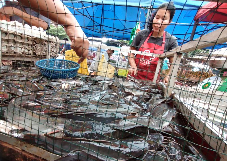 Konsumsi Ikan Air Tawar di Batam 3 Ton Per Hari
