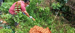 Penjaga Mini Zoo Kijang di Bintan Ditemukan Tewas