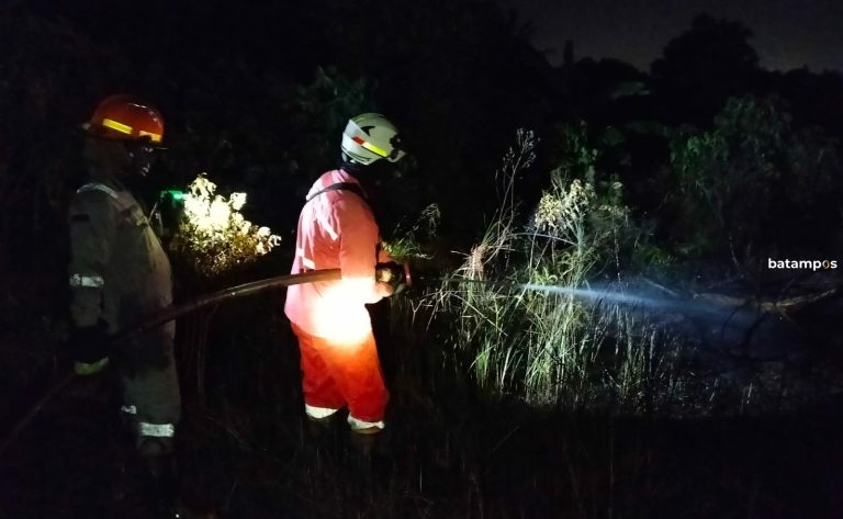 Pengunjung Kafe di Desa Teluk Sasah, Bintan Sempat Panik, Lahan Semak Belukar Terbakar