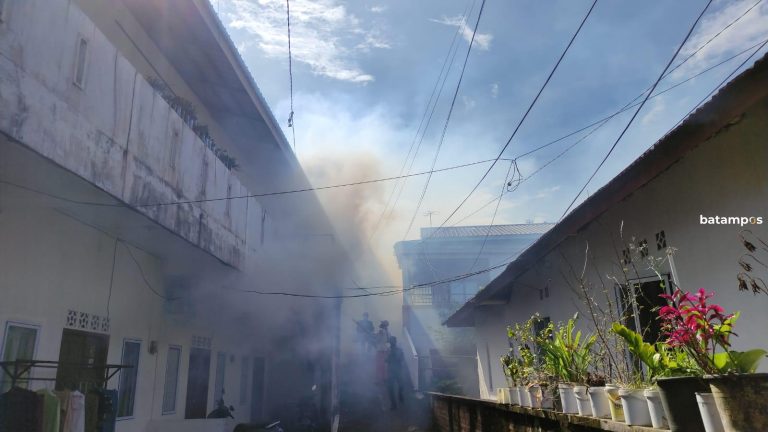 Waspadalah, DBD di Tanjungpinang Meningkat