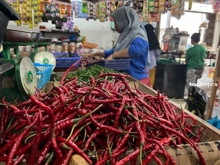 Beras dan Cabai Merah Sumbang Inflasi di Kota Batam