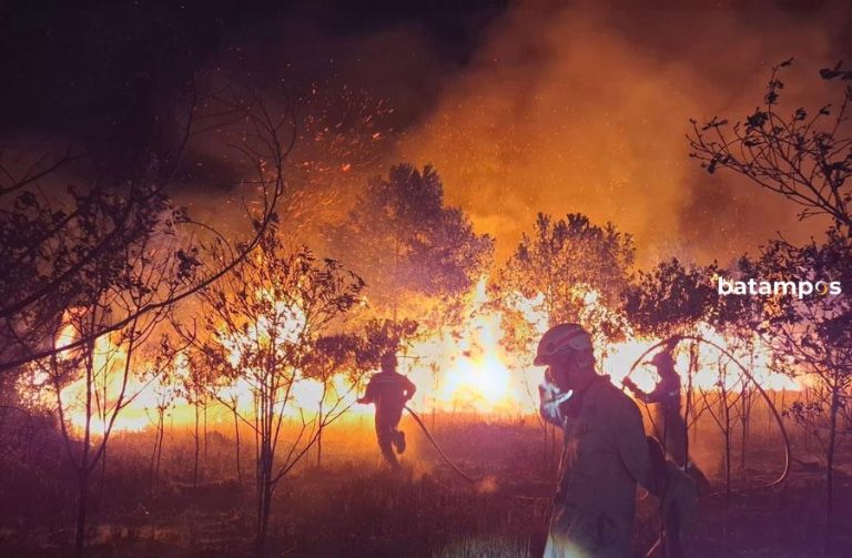 Pemadam Berlomba dengan Angin Padamkan 2 Hektare Lahan Terbakar di Bintan