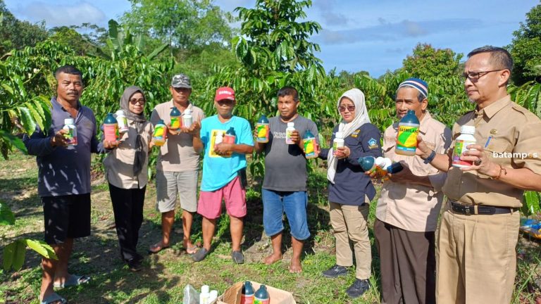 Petani di Bintan Kembangkan Budidaya Tanaman Kopi dan Wisata Perkebunan Kopi