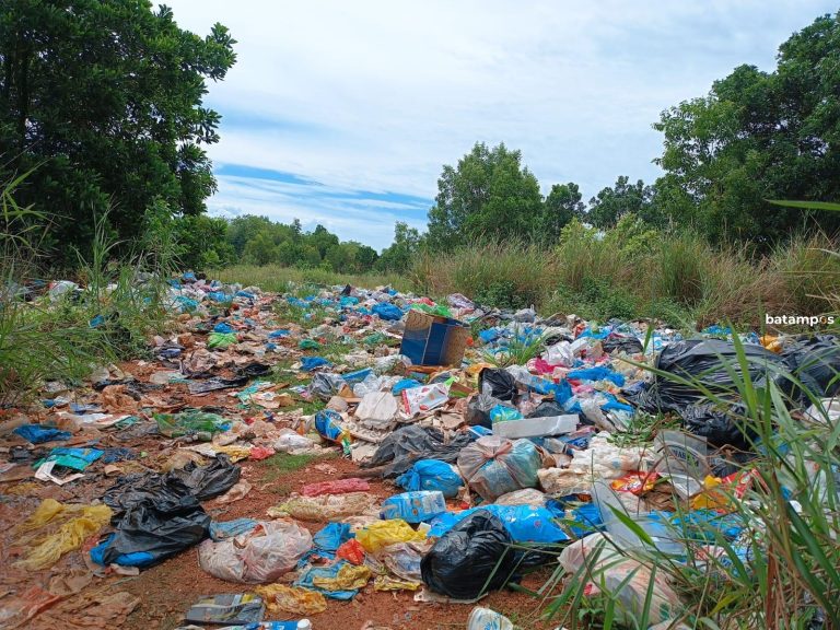Target Rp4 M, Semester 1 2024 Retribusi Sampah 2024 di Tanjungpinang Baru Rp782 Juta